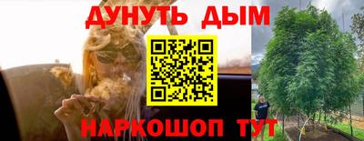прущие грибы Краснокаменск