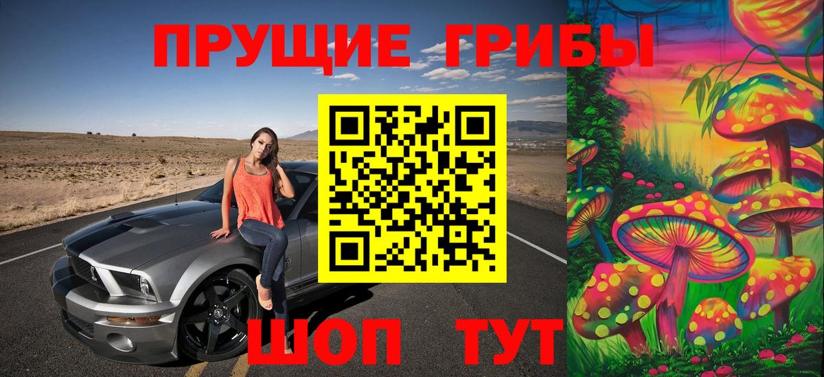 Галлюциногенные грибы прущие грибы Кириши