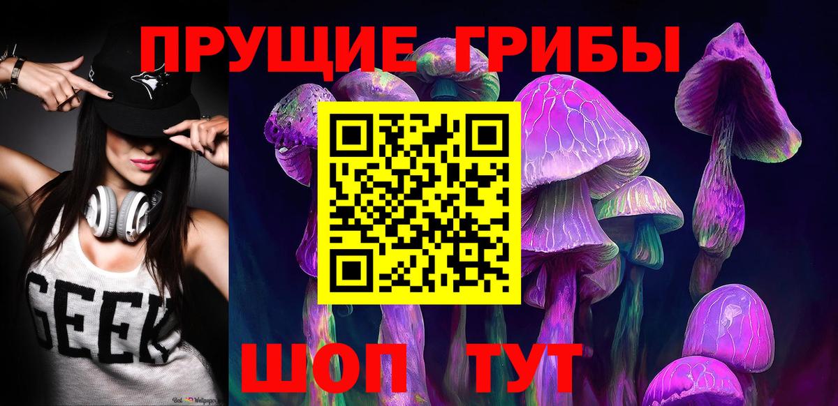 Кириши  Псилоцибиновые грибы прущие грибы  Вход с VPN 