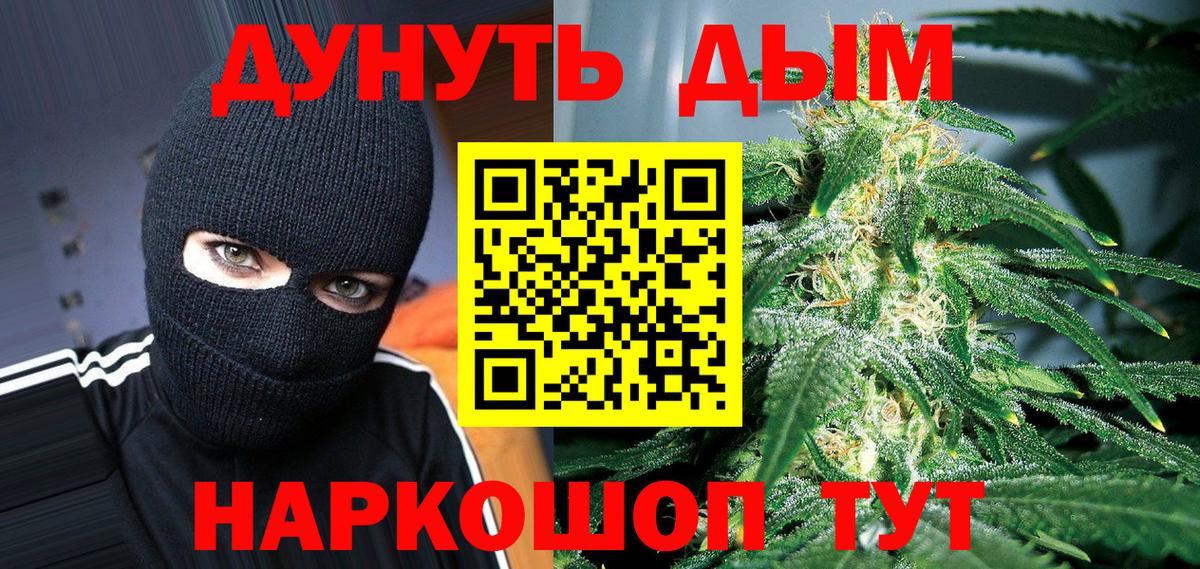 Кириши  Бошки Шишки гибрид  Канабис Ganja  Вход с VPN 
